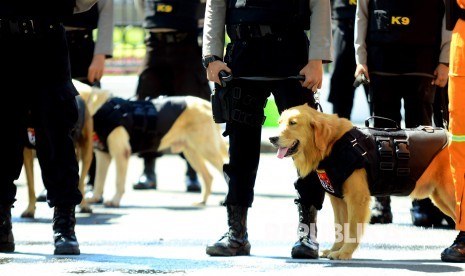 Sejumlah personil kepolisian membawa anjing pelacaknya (Ilustrasi)