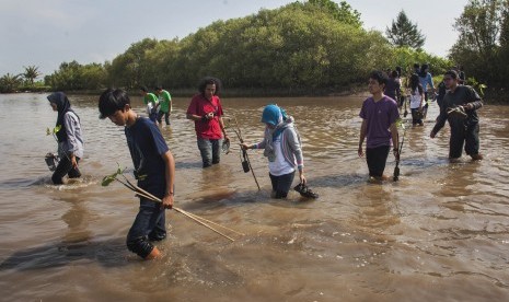 Sejumlah peserta menyebrangi rawa dengan membawa bibit mangrove untuk ditanam dalam acara Mangrovakansi di Laguna Pantai Baros, Kretek, Bantul, Yogyakarta.