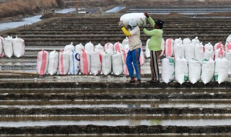 Sejumlah petani mengangkat karung berisi garam saat panen raya di Desa Kaliwlingi, Brebes, Jawa Tengah, Selasa (10/11).