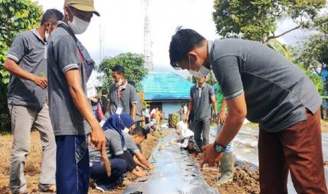 Sejumlah petani milenial mengikuti Advance Training (pelatihan lanjutan). ilustrasi 