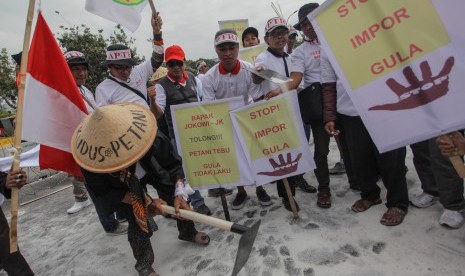 Sejumlah petani tebu melakukan aksi unjuk rasa di depan Istana Merdeka, Jakarta, Senin (28/8).