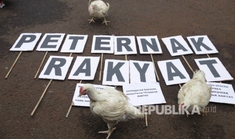 Sejumlah peternak ayam yang tergabung dalam wadah Sekretariat Bersama Penyelamatan Peternak Rakyat dan Perunggasan Nasional (Sekber Petrapenas) melakukan aksi di depan Istana Merdeka di Jakarta, Selasa (1/3). (Republika/Rakhmawaty La'Lang)