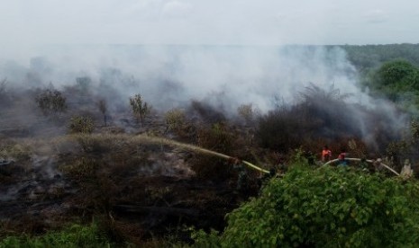 Sejumlah petugas berusaha memadamkan api yang membakar lahan gambut