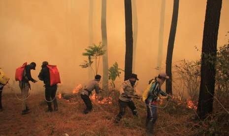 Api membakar kawasan hutan di lereng Gunung Ciremai, Kuningan, Jawa Barat. (Ilustrasi)