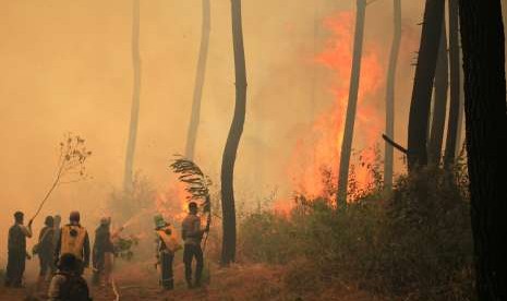 Luas Lahan Terbakar Di Gunung Ciremai 75 Hektare Republika Online