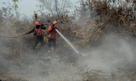 Sejumlah petugas Manggala Agni bersama anggota TNI berusaha melakukan pendinginan saat kebakaran hutan di Desa Rimbo Panjang, Kabupaten Kampar, Riau.