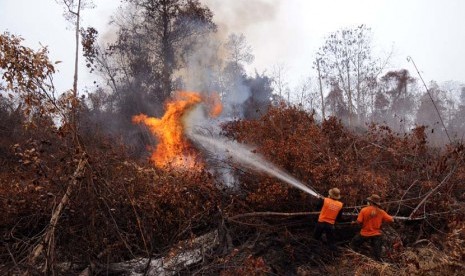 Sejumlah petugas Manggala Agni Kemenhut memadamkan kebakaran di Kabupaten Bengkalis, Riau, Selasa (4/3). (Antara/FB Anggoro)