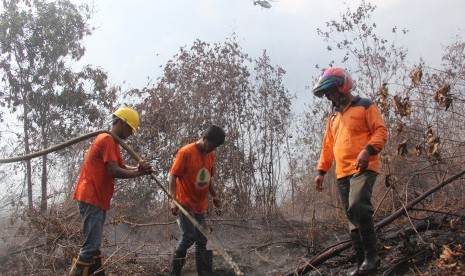 Sejumlah relawan Masyarakat Peduli Api (MPA) melakukan proses pendinginan pada lahan gambut yang terbakar di kawasan hutan lindung kelurahan Mundam kota Dumai, Dumai, Riau, Kamis (19/7).