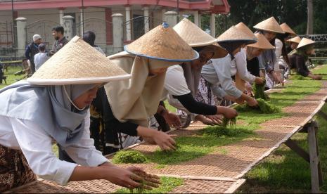 Sejumlah remaja putri Nganjang (menata irisan daun tembakau) untuk dijemur saat Festival Lembutan #3 di kawasan lereng Gunung Sindoro Desa Bansari, Temanggung, Jawa Tengah, Sabtu (29/10/2022). Festival Lembutan #3 digelar masyarakat petani tembakau setempat untuk membangkitkan kembali budaya memproses tembakau secara tradisional sekaligus mempromosikan Lembutan (tembakau yang rajang tipis) untuk rokok Lintingan.