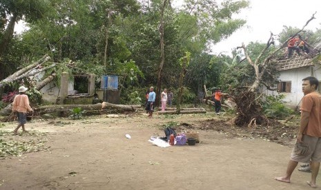 Sejumlah rumah warga rusak tertimpa pohon akibat angin ribut (ilustrasi) 