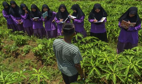 Sejumlah santri mengikuti kegiatan belajar mengajar tanaman porang di Pondok Pesantren Daarul Ma