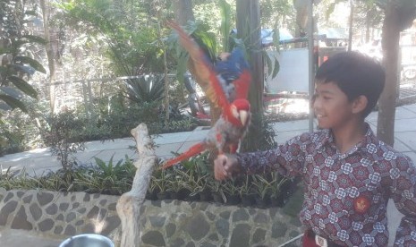 Sejumlah siswa SDN Citrasari Lembang tengah melihat berbagai jenis burung di Taman Burung Pramestha di Dago Giri. 