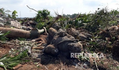 Sejumlah tempat ibadah dan galeri seni tidak luput dari penggusuran yang dilakukan PT Angkasa Pura 1 di Desa Palihan, Kabupaten Kulonprogo, DIY.  Penggusuran yang masih ditolak ratusan warga itu sendiri dilakukan demi pembangunan New Yogyakarta International Airport (NYIA). Rabu (6/12). 