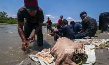 Sejumlah warga beramai-ramai membersihkan jeroan daging hewan kurban di sungai. Hal speperti ini sebaiknya tidak dilakukan lagi untuk menghindari merebaknya penyakit PMK. (ilustrasi)