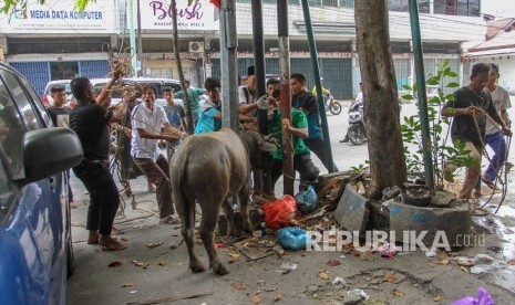 Jelang Idul Adul, Pemerintah Provinsi (Pemprov) Riau melalui Dinas Peternakan dan Kesehatan Hewan (PKH) Riau akan memperketat pemeriksaan lalu lintas hewan ternak dari luar Provinsi Riau.