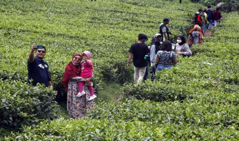 Sejumlah warga berwisata di kawasan Kebun Teh Puncak, Kabupaten Bogor, Jawa Barat, Sabtu (31/10). Pemprov Jabar terus melakukan tes acak kepada wisatawan di sejumlah destinasi wisata.