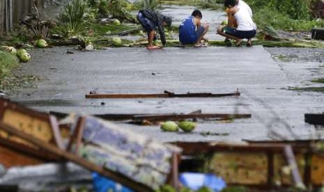 Sejumlah warga Kota Tuguegarao, Filipina, memunguti kelapa setelah hantaman Topa Mangkhut, Sabtu (15/9).