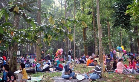 Sejumlah warga memadati hutan penelitian Cifor saat tradisi Cucurak, di kota Bogor, Jabar, Ahad (14/6).   (Antara/Arif Firmansyah)