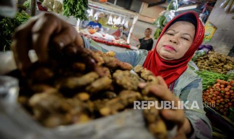 Warga memilah jahe. Semula diperdagangkan sekitar Rp 20 ribu per kilogram, sekarang jahe di Kendari dijual mencapai Rp 100 ribu per kilogram.