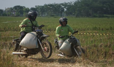 Sejumlah warga mengikuti balap sepeda motor bermuatan gabah di lahan sawah milik warga di Desa Tegalsari, Kandeman, Kabupaten Batang, Jawa Tengah,Ahad (18/9/2022). Lomba yang diikuti oleh 28 warga yang berprofesi sebagai ojek gabah itu dalam rangka syukur atas hasil panen padi yang melimpah.