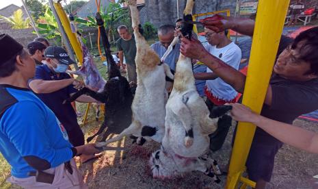 Sejumlah warga mengiris daging hewan kurban untuk dibagikan di Kompleks Perumahan Makmur Jaya 3, di Serang, Banten, Minggu (10/7/2022). Pembagian daging hewan kurban untuk warga yang berhak menandai perayaan Hari Raya Idul Adha sesuai syariat Islam yang dicontohkan Nabi Ibrahim. 