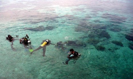   Sejumlah wisatawan menyelam di sekitar perairan Pulau Derawan, Berau, Kalimantan Timur beberapa waktu lalu.  (Nur Aini/Republika)