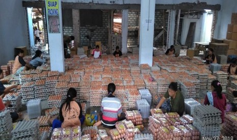 Sekitar 10 ribu ekor ayam dikonsentrasikan untuk bertelur di Desa Dadaplangu Kecamatan Ponggok, Blitar, Jawa Timur.