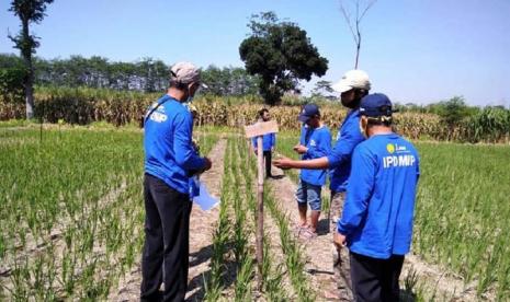 Sekolah lapang (SL) jadi wadah penyuluh pertanian menyebarluaskan inovasi teknologi pertanian kepada petani. SL diharapkan dapat menyiapkan petani tangguh yang mampu menghadapi dinamika saat ini maupun tantangan masa depan.