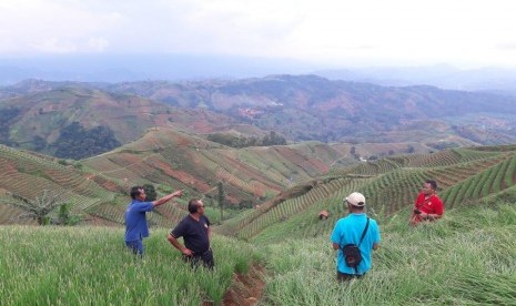 Sentra bawang merah di Lembah Panyaweuyan, Kabupaten Majalengka, Jawa Barat