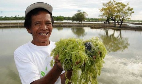 Senyuman bahagia seorang petani (ilustrasi)