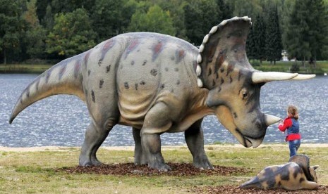  Seorang anak berdiri di depan sebuah model dinosaurus Triceratops dalam pameran 'Dunia Dinosaurus' di Hohenfelden dekat Erfurt, Jerman, Selasa (25/9). (Jens Meyer/AP)