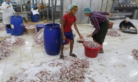 Seorang anak laki-laki bekerja di pabrik ekspor makanan laut di Hlaingthaya Industrial Zone, di luarYangon, Myanmar, 19 Februari 2016.