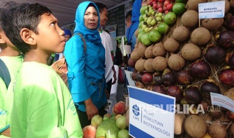  Seorang anak melihat buah-buahan langka lokal (ilustrasi)