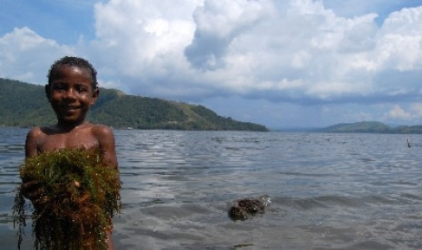 Seorang anak membawa setumpuk gulma di kawasan pesisir Danau Sentani, di Waena, Jayapura, Sabtu (7/7). 