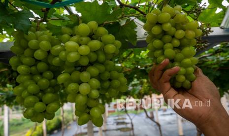 Naskah Khutbah Jumat: Buah dari Taqwa kepada Allah