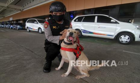 Polisi Satwa Sisir Bandara Syamsudin Noor (ilustrasi).