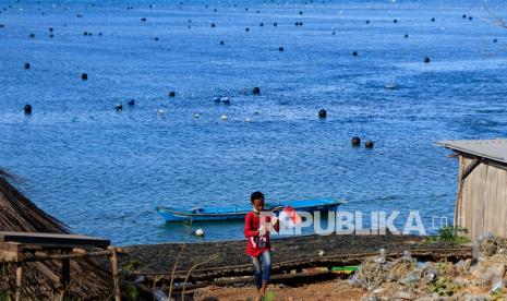 Seorang bocah berjalan di pesisir pantai yang dipenuhi oleh budidaya rumput laut di Desa Huihelot, Kecamatan Sulamu, Kabupaten Kupang, NTT, Senin (16/8/2021). Direktorat Perbendaharaan (DJPb) Provinsi Nusa Tenggara Timur Kementerian Keuangan mendorong perbankan di provinsi itu agar meningkatkan penyaluran Kredit Usah Rakyat (KUR) bagi sektor-sektor produktif.