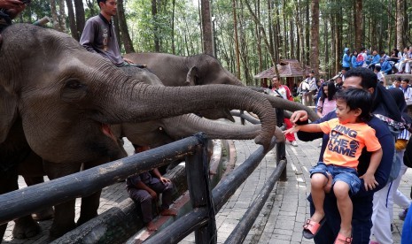 Para pengunjung berwisata di lokasi konservasi Aek Nauli, Kabupaten Simalungun, Sumatera Utara