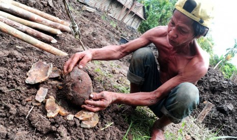 Seorang buruh lepas, Ilias (48) memegang sebuah mortir yang ditemukannya di Gang Cendana, Kec. Sungai Rengas, Kubu Raya, Kalbar, Kamis (26/7). Mortir peninggalan militer Belanda pada masa Perang Dunia ke-II itu ditemukan ketika menggali tanah di lahan koso