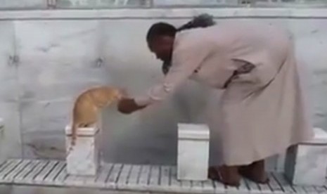 Seorang jamaah umrah memberi minum kucing yang kehausan di Makkah.