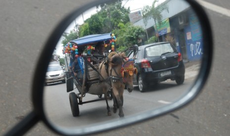 Seorang kusir andong membawa penumpang di jalan Swadarma, Jakarta, Selasa (10/4). (Agung Fatma Putra)