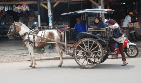 Seorang kusir andong membawa penumpang di jalan Swadarma, Jakarta, Selasa (10/4). (Agung Fatma Putra)