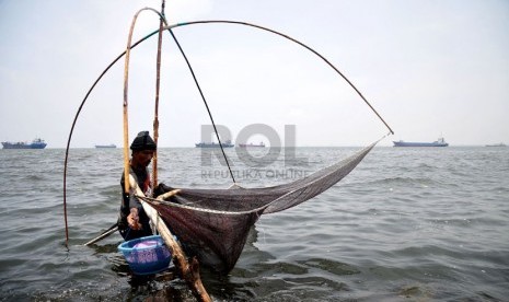 Seorang nelayan mengangkat jaring udang rebon di wilayah pesisir pantai Jakarta Utara, Selasa (8/10). (Republika/Prayogi)