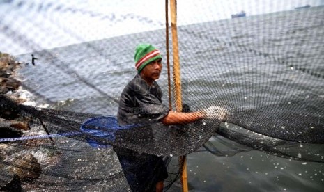 Seorang nelayan mengangkat jaring udang rebon di wilayah pesisir pantai Jakarta Utara, Selasa (8/10). (Republika/Prayogi)