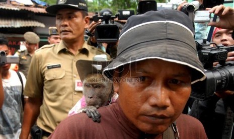 Seorang pawang beserta monyet peliharaannya terjaring dalam razia topeng monyet oleh Satpol PP di kawasan Cawang, Jakarta Timur, Selasa (22/10).  ( Republika/Rakhmawaty la'lang)