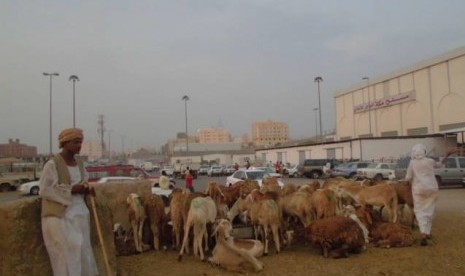 Seorang pedagang kambing untuk dam di Pasar Kakiyah, Makkah sedang menunggu pembeli.