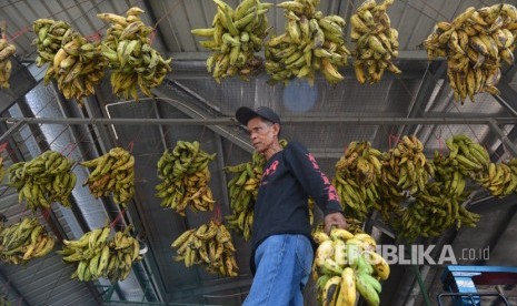 Jabar akan Bangun Pusat Distribusi Komoditas Pokok . Foto ilustrasi: Seorang pedagang menata pisang di Pasar Induk Modern Cikopo, Purwakarta, Jabar, Selasa (8/8). 