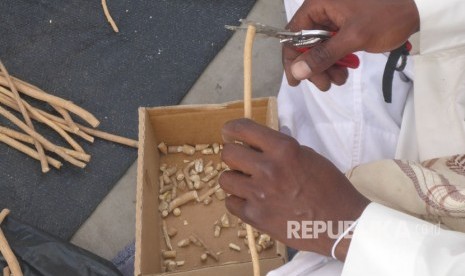 Seorang pedagang siwak di depan Masjid Quba, Madinah, Arab Saudi.  