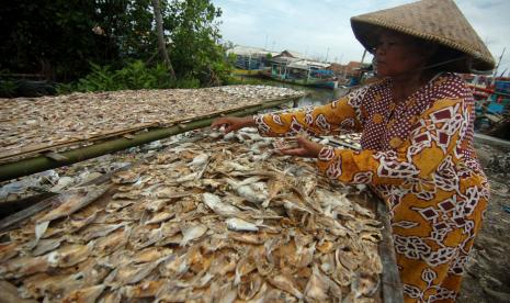 KKP Latih 300 Warga Jatim Diversifikasi Olahan Ikan (ilustrasi).