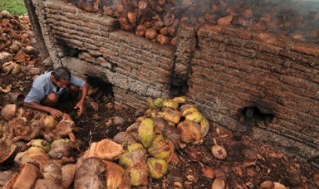 Seorang pekerja mengasapi kelapa yang akan dipisahkan dari bungkilnya untuk dijadikan kopra. Pengasapan tersebut dilakukan untuk memudahkan proses pemisahan kelapa dengan bungkilnya (ilustrasi)